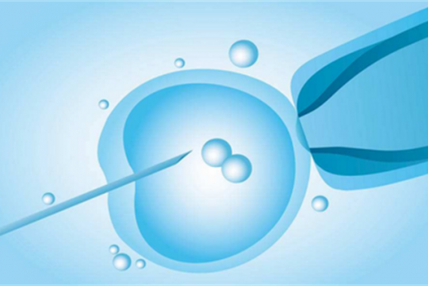 http://w-guangzhou.com/post/192.html|代生助孕